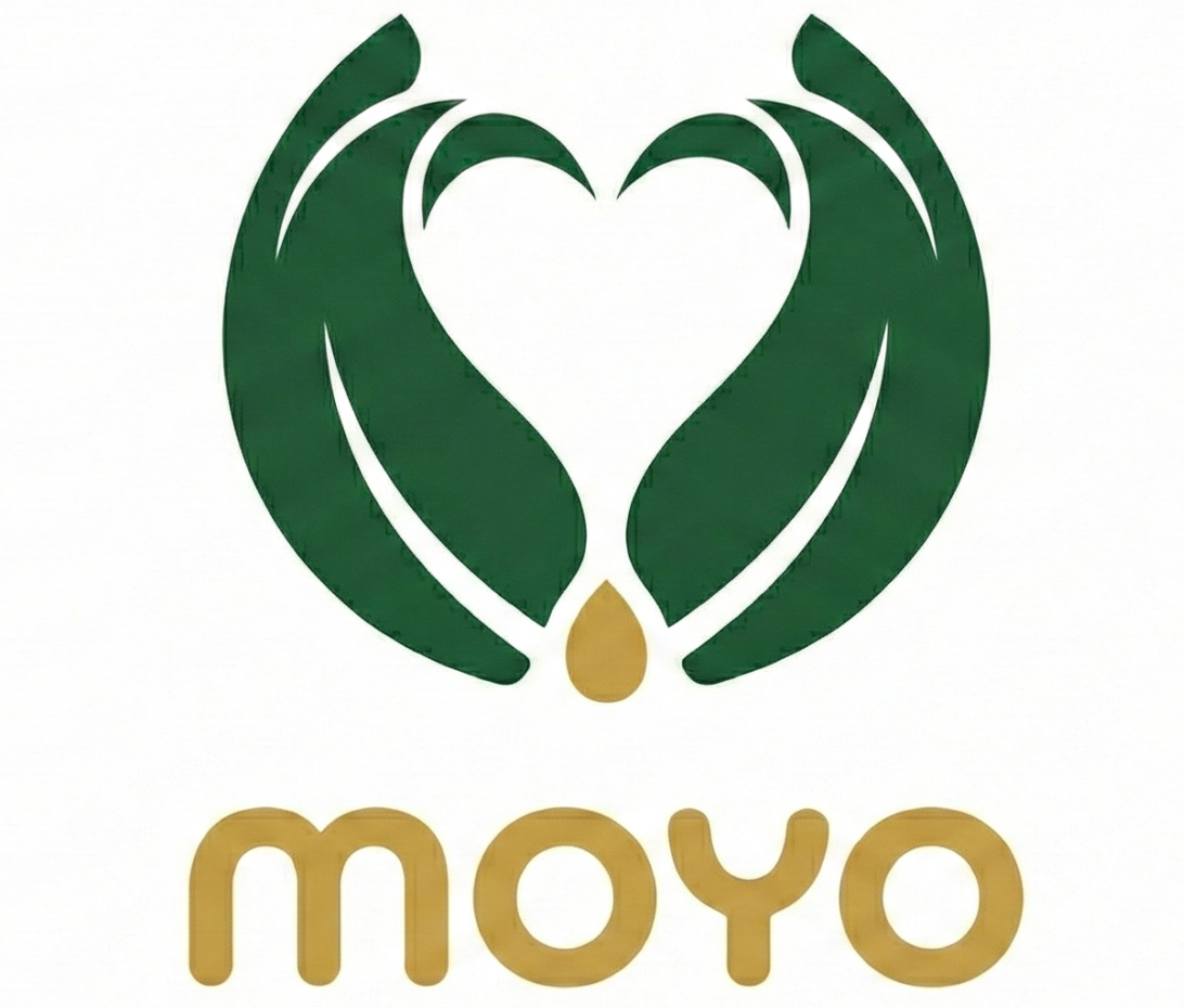 gh.moyoafrique.com